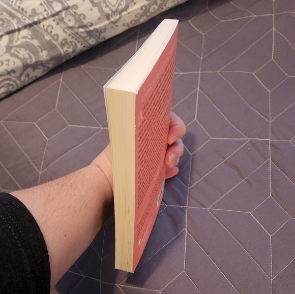 The Most Misunderstood Women of the Bible by Mary DeMuth - Picture 2 of 4